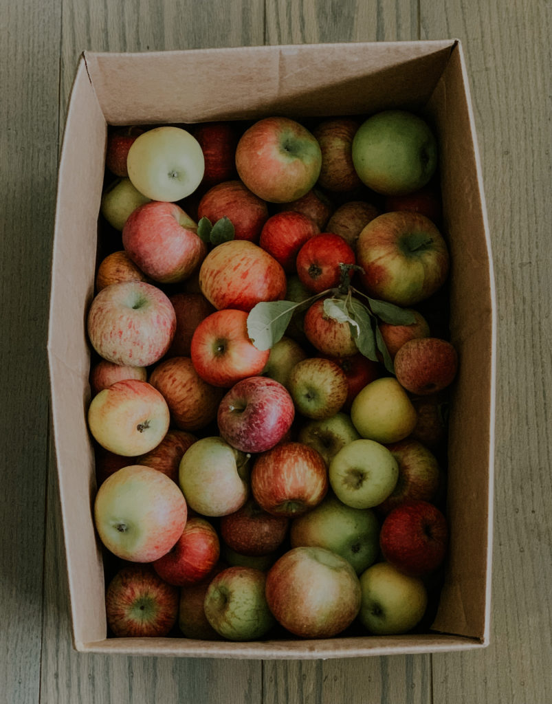 fall ideas-- go beyond just apple picking
